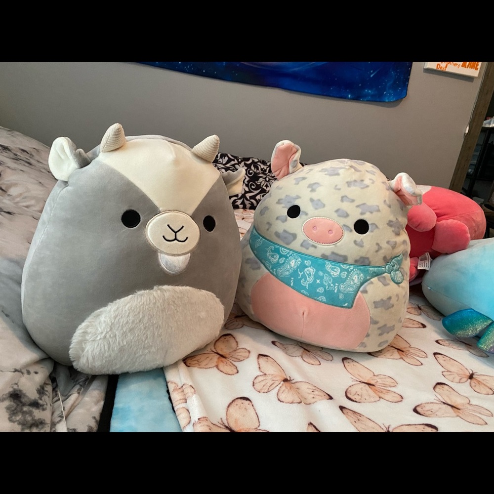Squishmallows - Picture 4 of 8